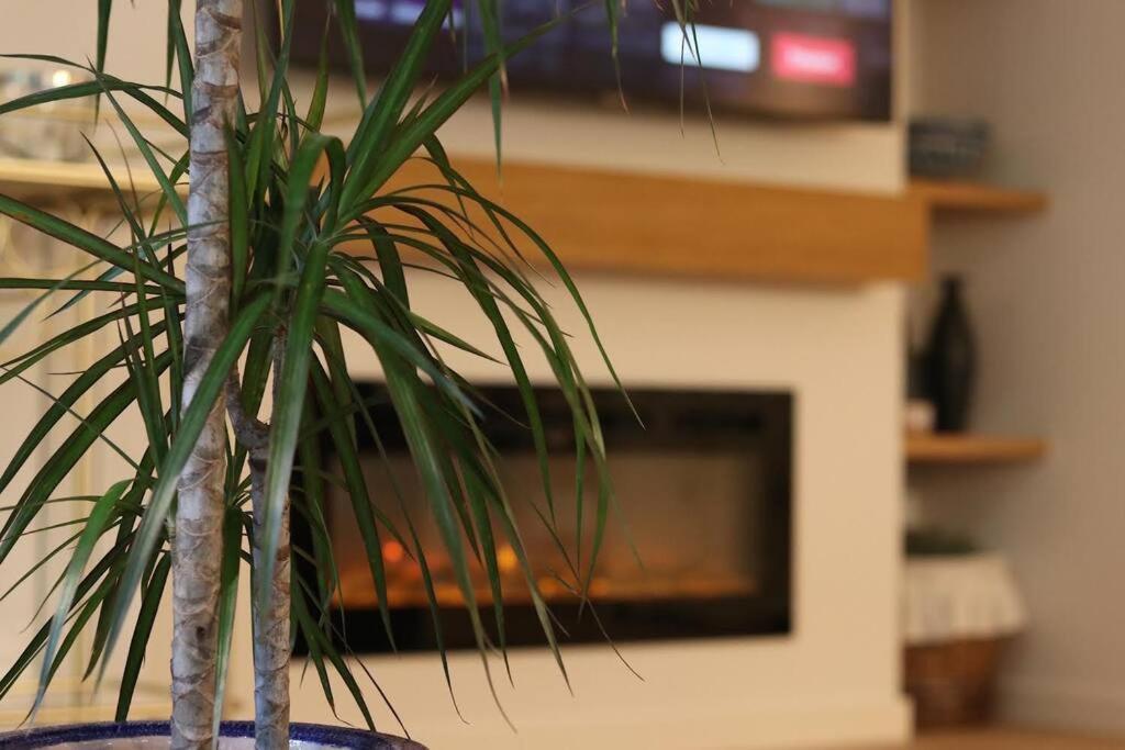 Lc Apartaments Voramar Benicàssim Extérieur photo
